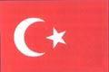 Turki W