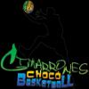 Cimarrones del Choco